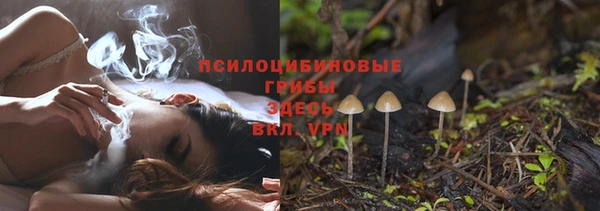 соль ск Абдулино