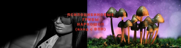 твердый Алексеевка