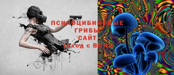 не бодяженный Алексин