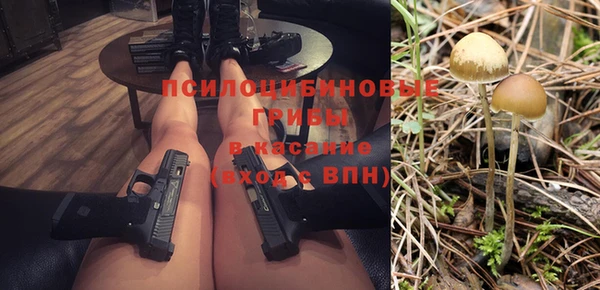 не бодяженный Алексин