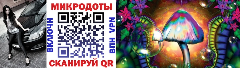 закладки  Собинка  Галлюциногенные грибы Cubensis 