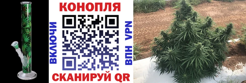 Каннабис план Собинка
